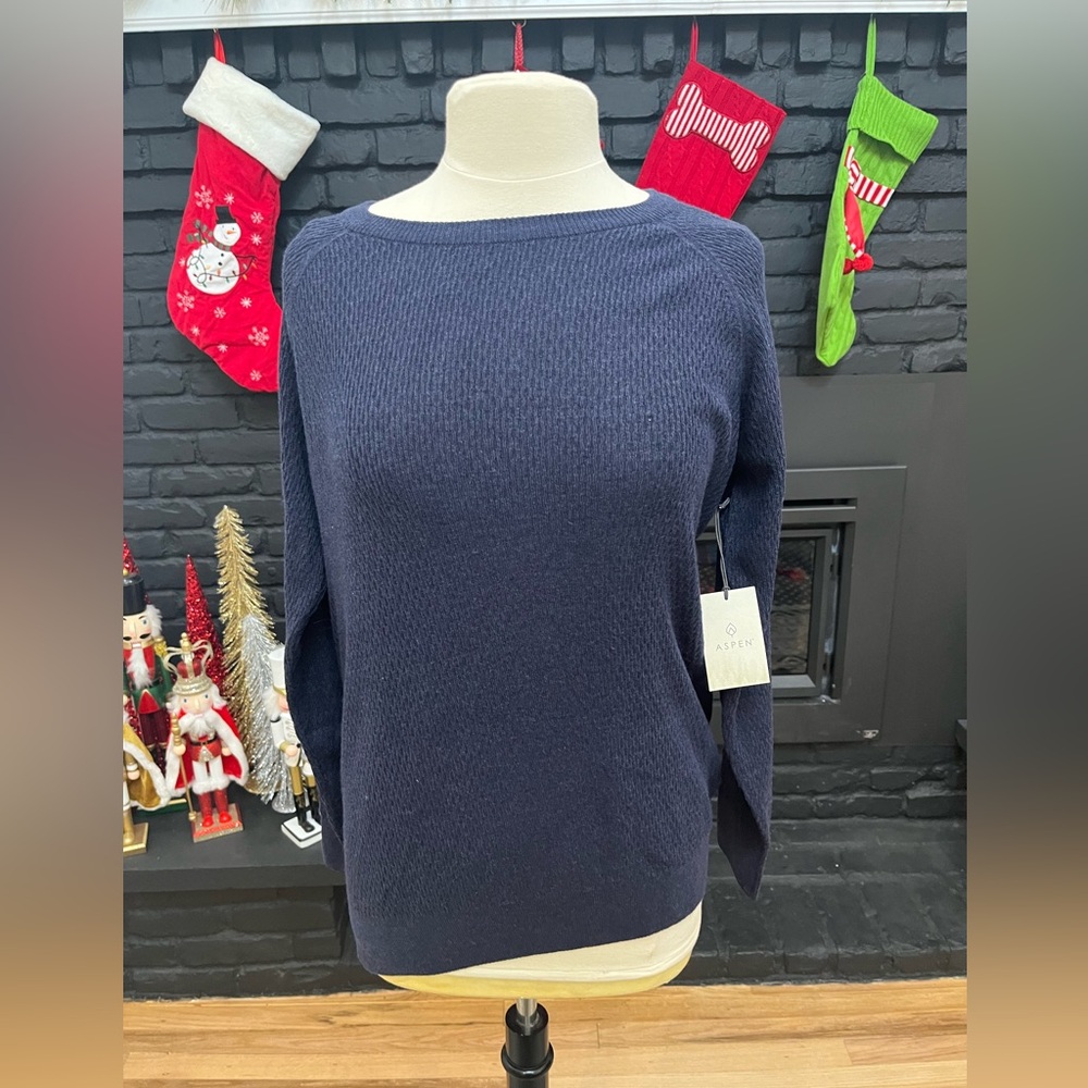 Aspen NWTS ribbed long sleeved sweater in blue